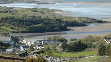 A coastal town with a cemetery, houses, and a large body of water.