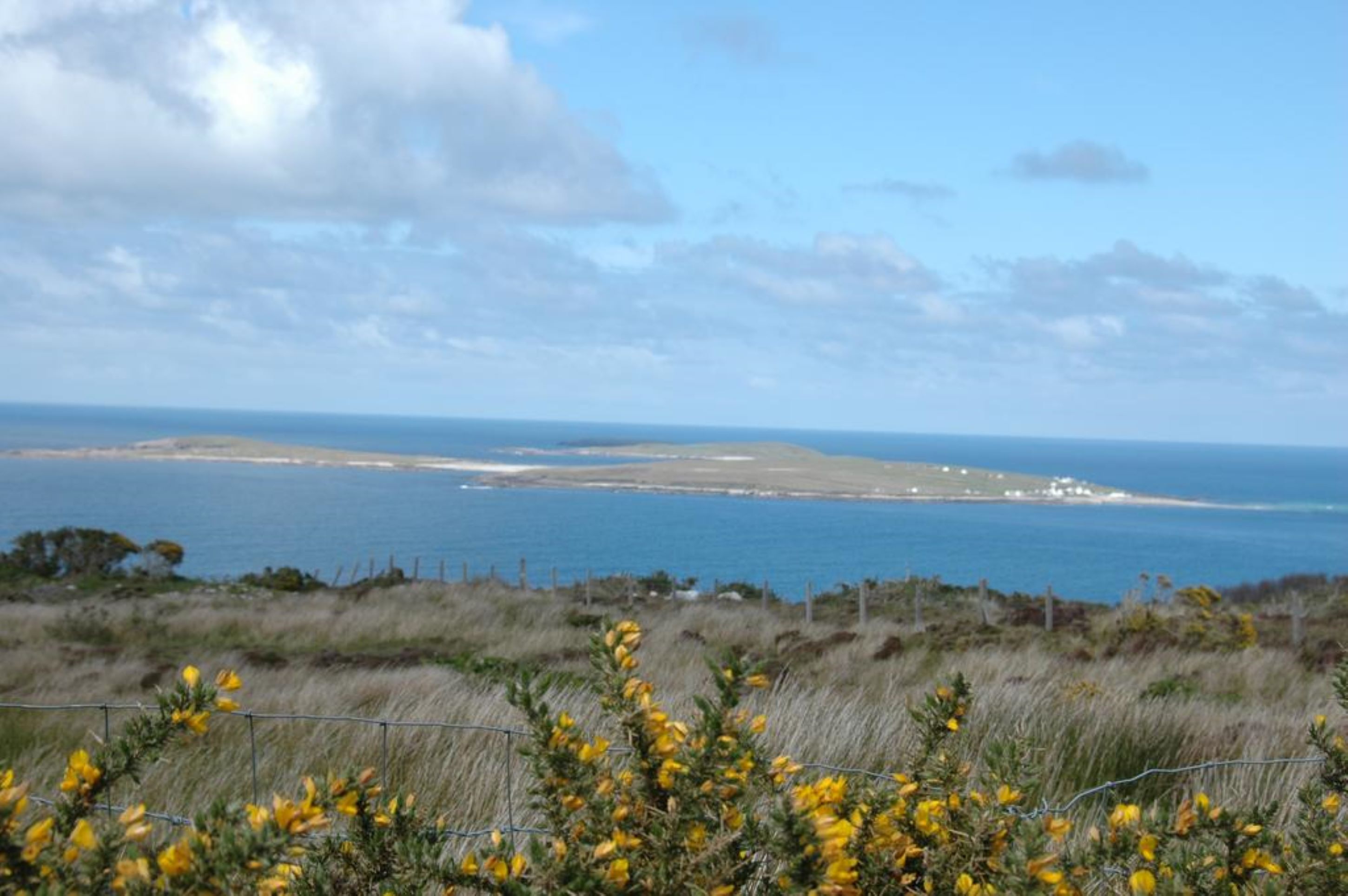 A coastal landscape with a grassy foreground, a fence, and a distant view of the sea and a small settlement.