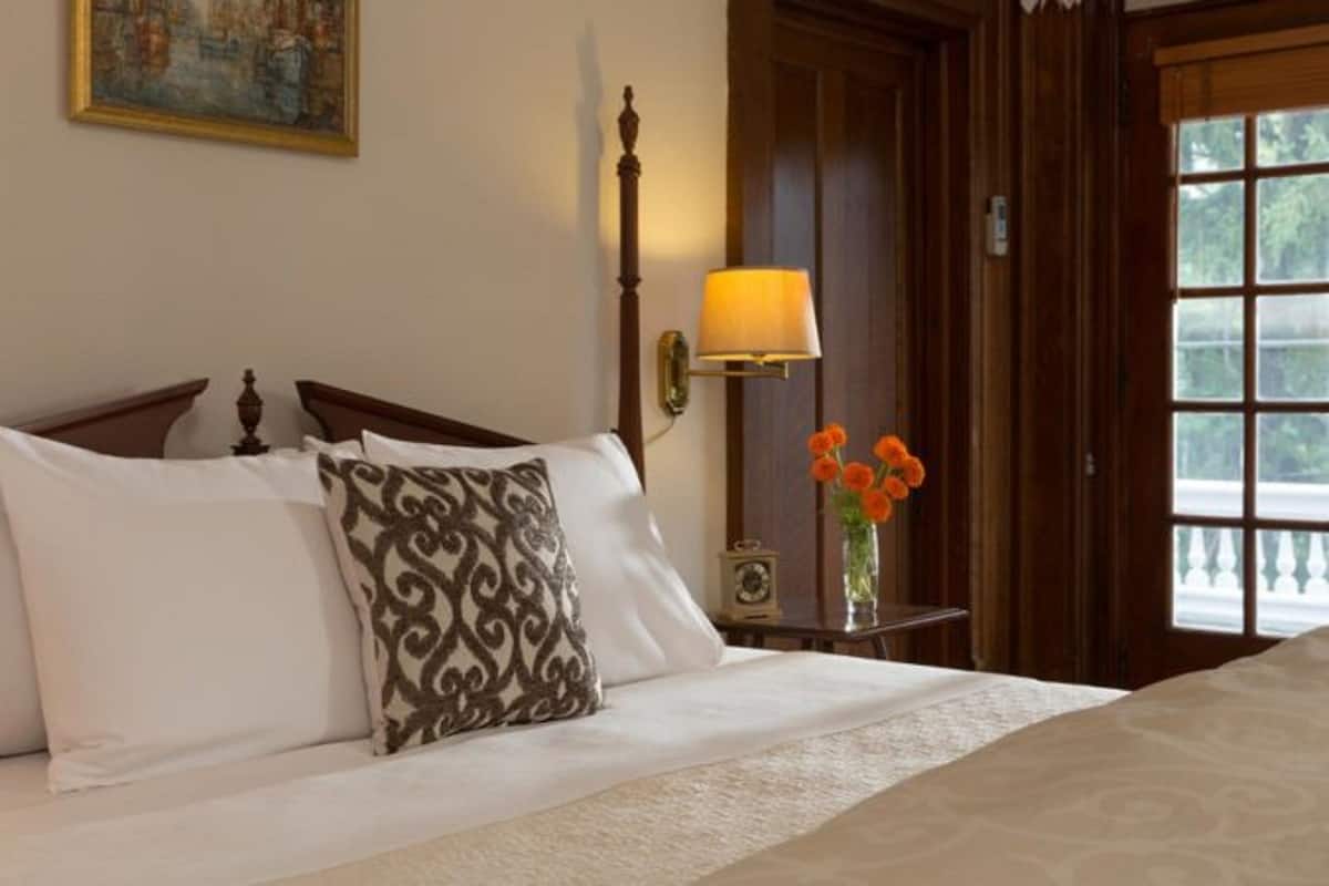 A neatly made bed with white and patterned pillows, a bedside table with a lamp, and a window with a view of greenery.