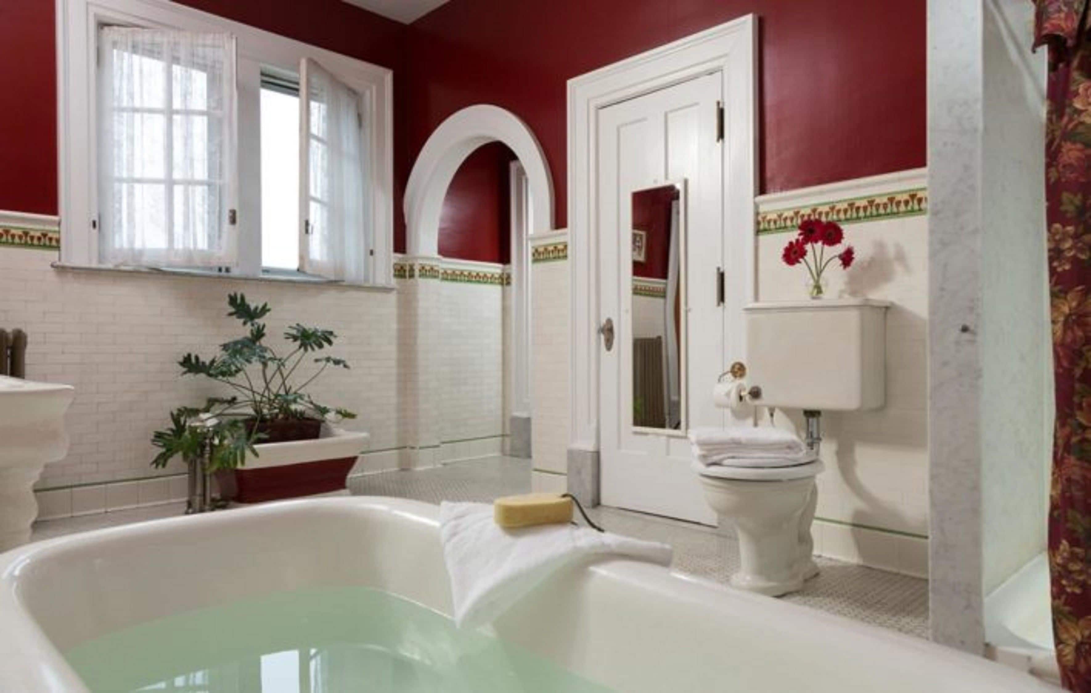 Une salle de bain avec une baignoire, des toilettes et une plante en pot.