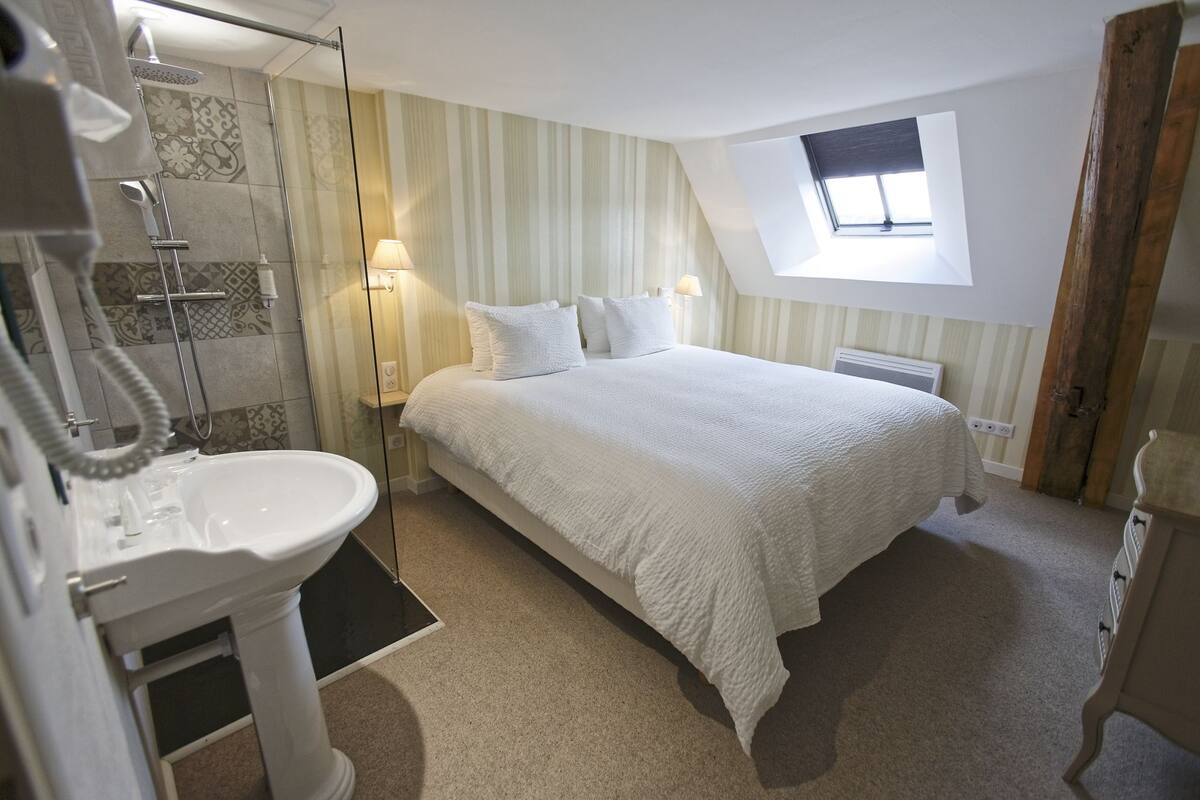 Een slaapkamer met een bed, een raam, dakraam en een badkamer met wastafel en douche.