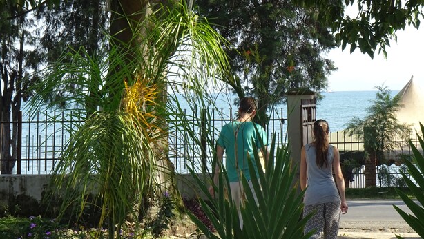 Un sendero con vegetación y vistas al mar.