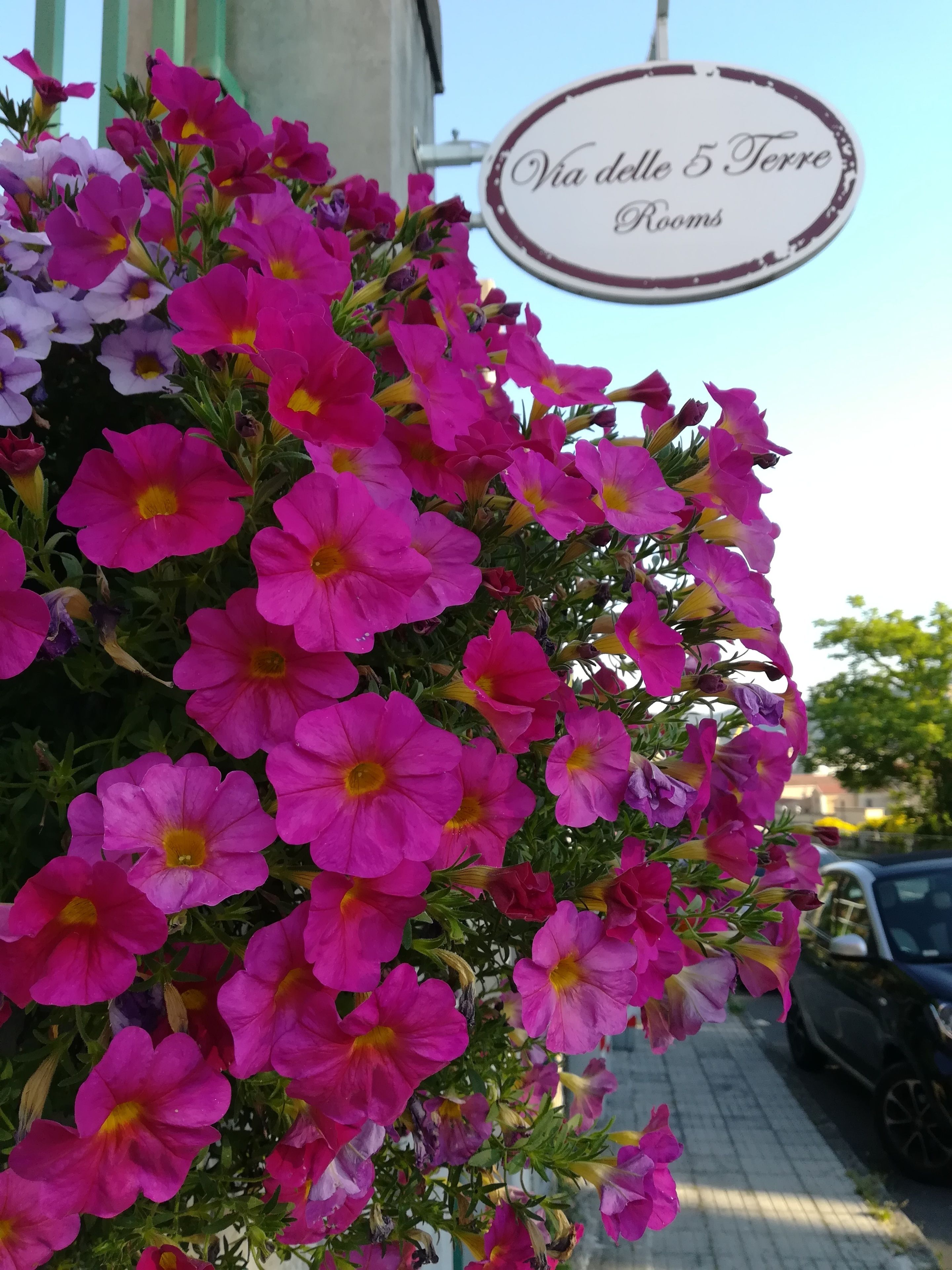 Een bordje met de tekst 'Via delle 5 Terre Rooms' met een achtergrond van levendige roze bloemen.
