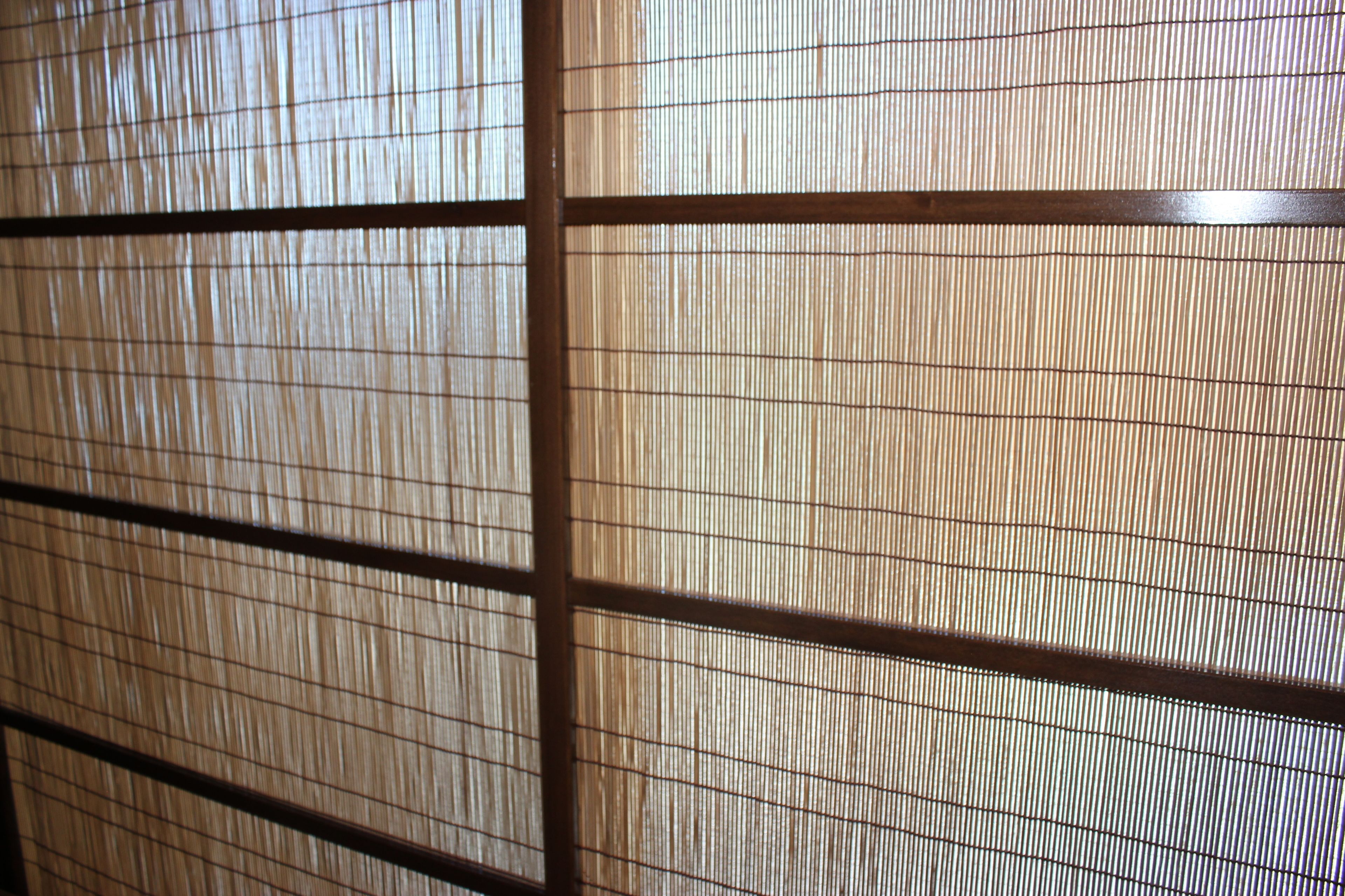 Double Room, Shared Bathroom (No windows)  | View from room