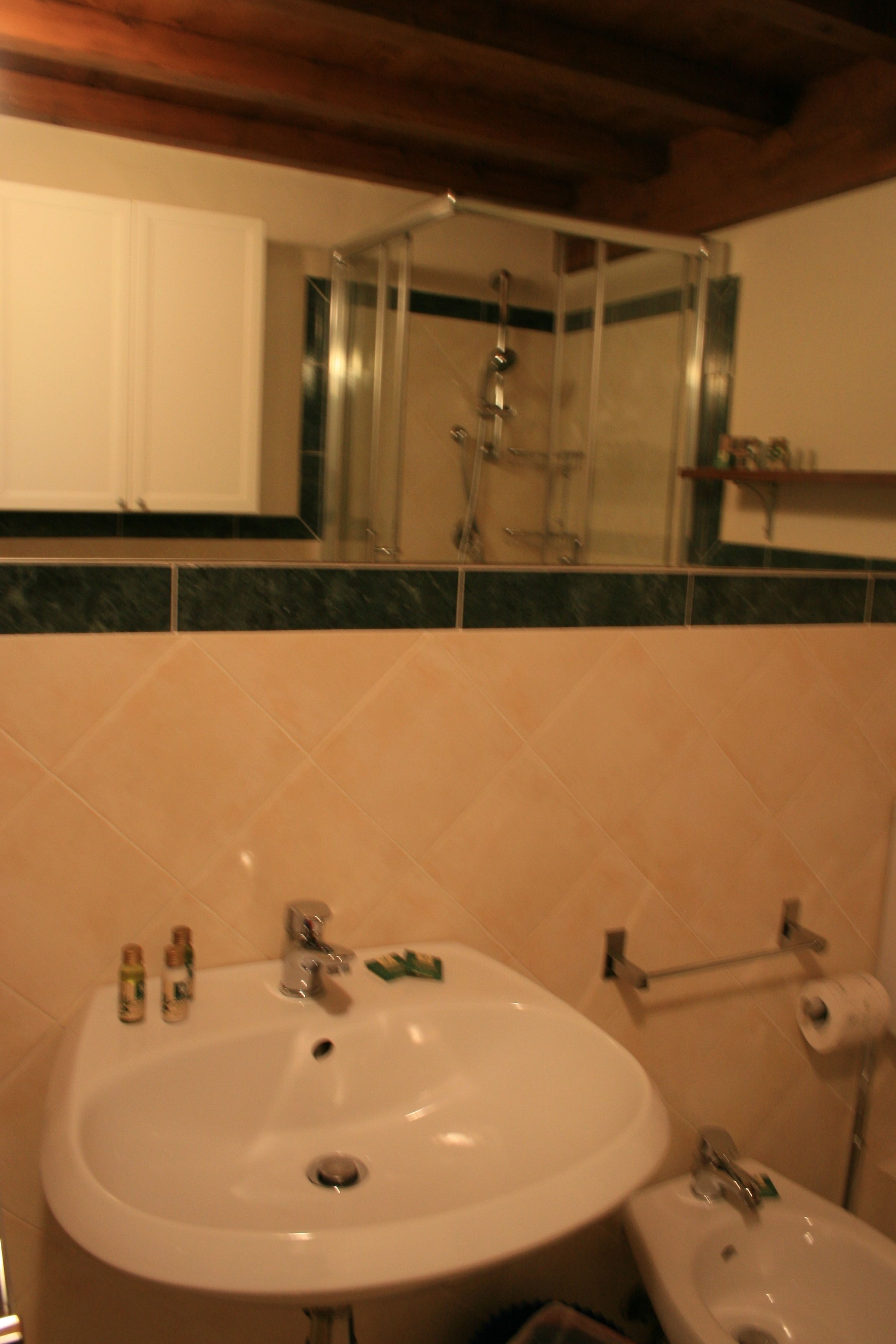 A bathroom with a sink, bidet, and shower.