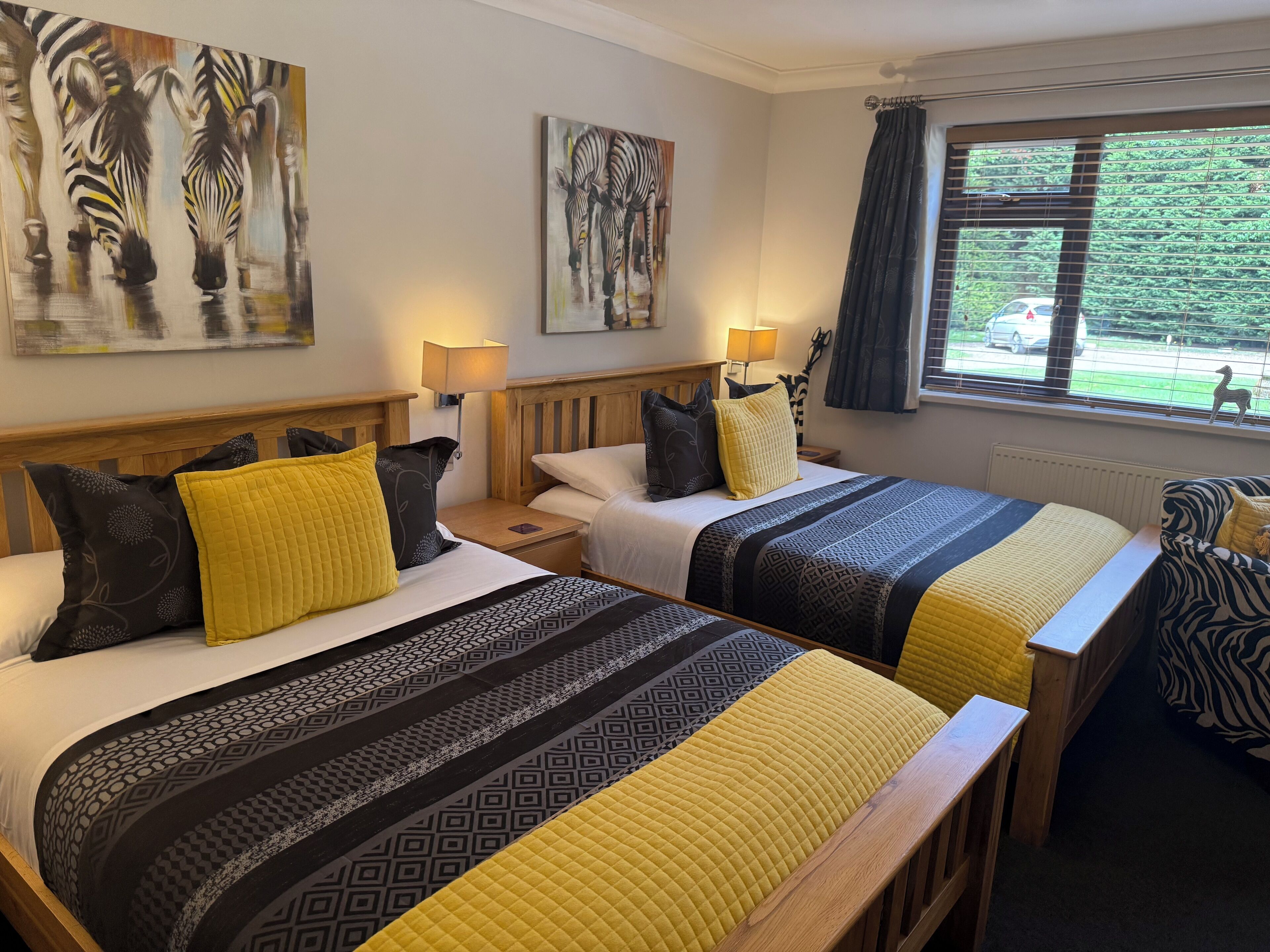 Minibar, desk, iron/ironing board, free WiFi