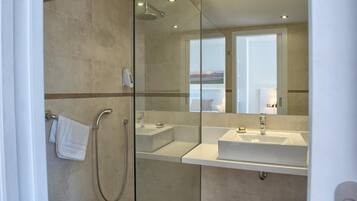 A modern bathroom with a glass shower enclosure, two sinks, and a large mirror reflecting a scenic view.