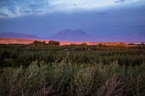 Un paysage avec une montagne en arrière-plan, un champ au premier plan et quelques bâtiments au loin.