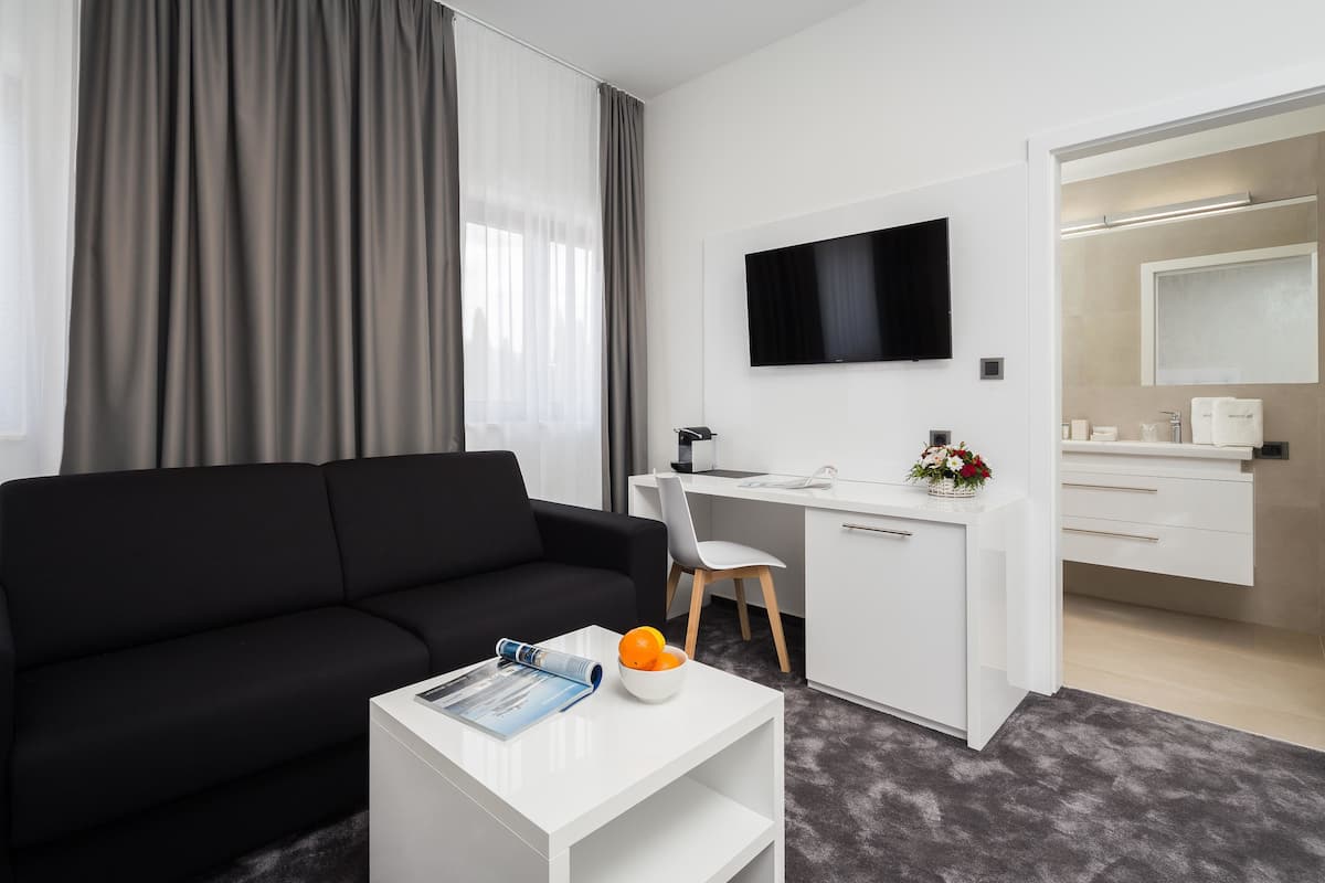 standard room | living area | tv