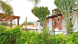 Un jardín con diversas plantas y una pérgola de madera.