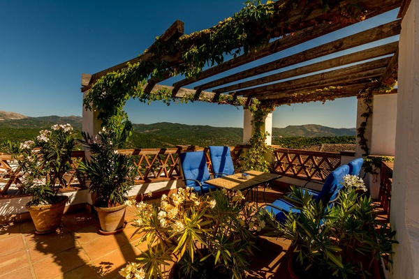 Terras