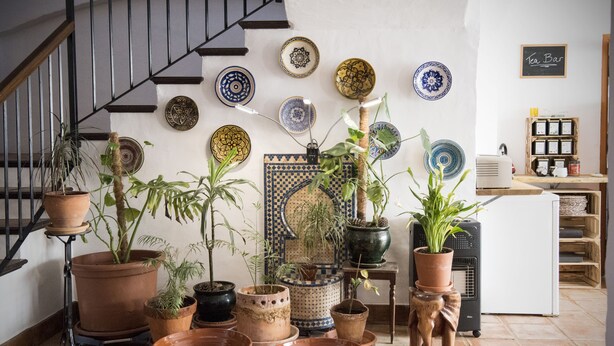 Una escalera, macetas con plantas, una variedad de platos decorativos y una pequeña tienda.