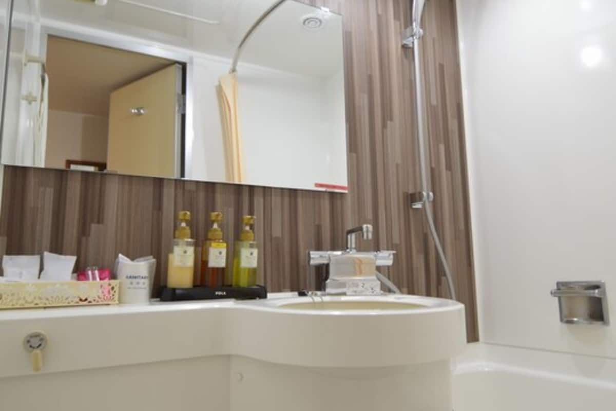 combined shower/bathtub, free toiletries, hair dryer, slippers