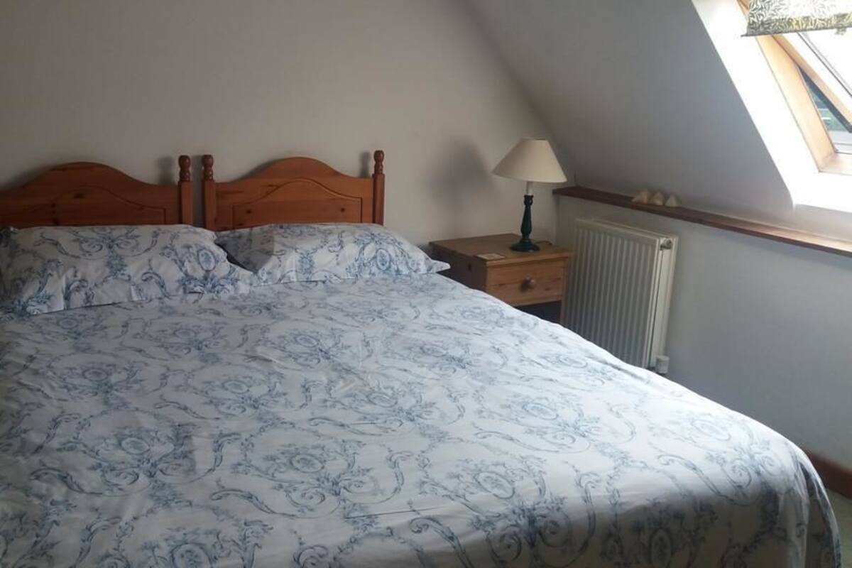 Blue Room | Iron/ironing board, WiFi (free), bed sheets