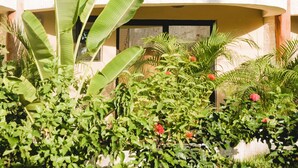View from room - Jabin Tulum (Tulum)