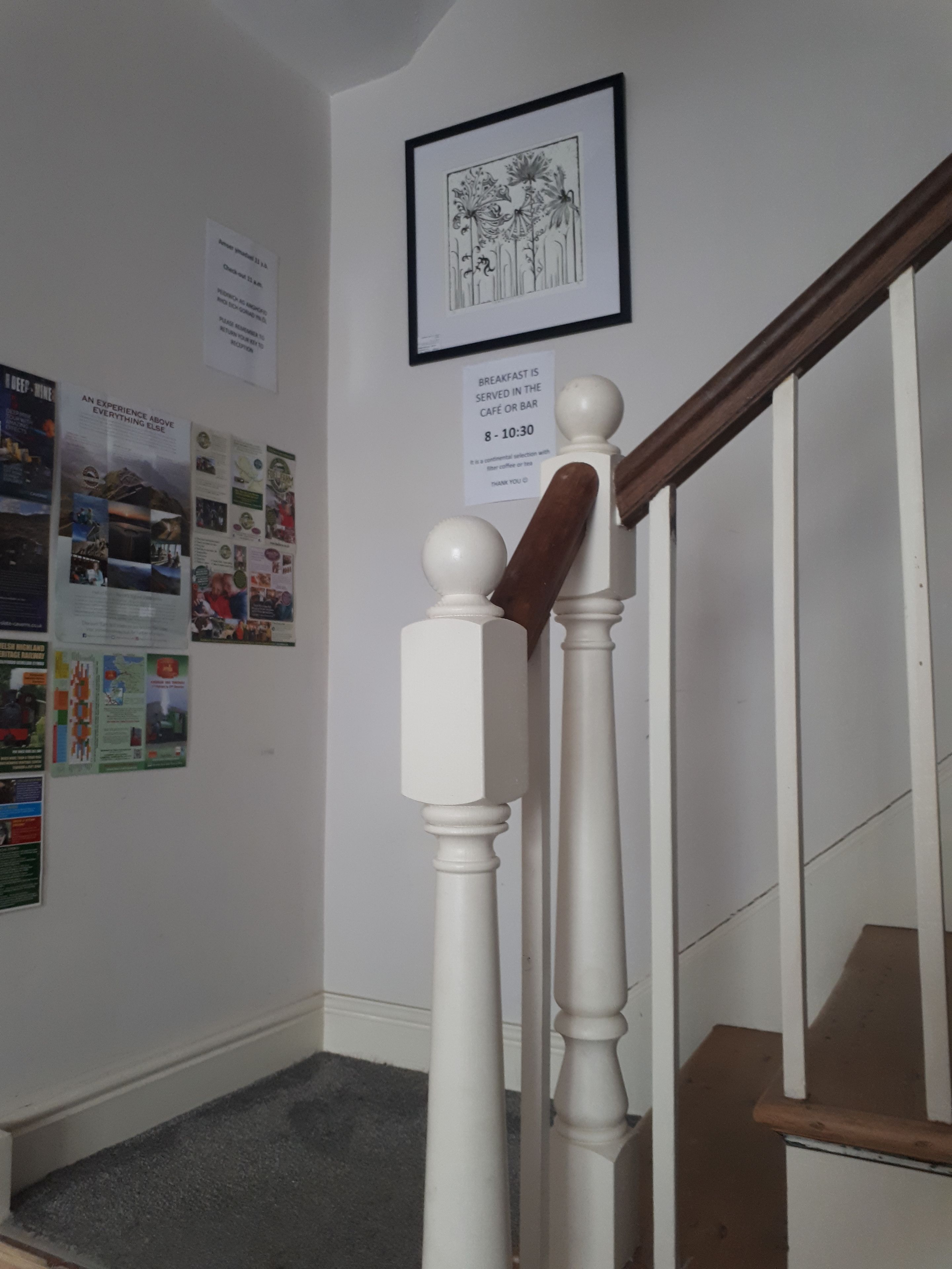 Una escalera con balaustres blancos y barandilla de madera, que lleva a un rellano con una ilustración botánica enmarco y carteles informativos en la pared.
