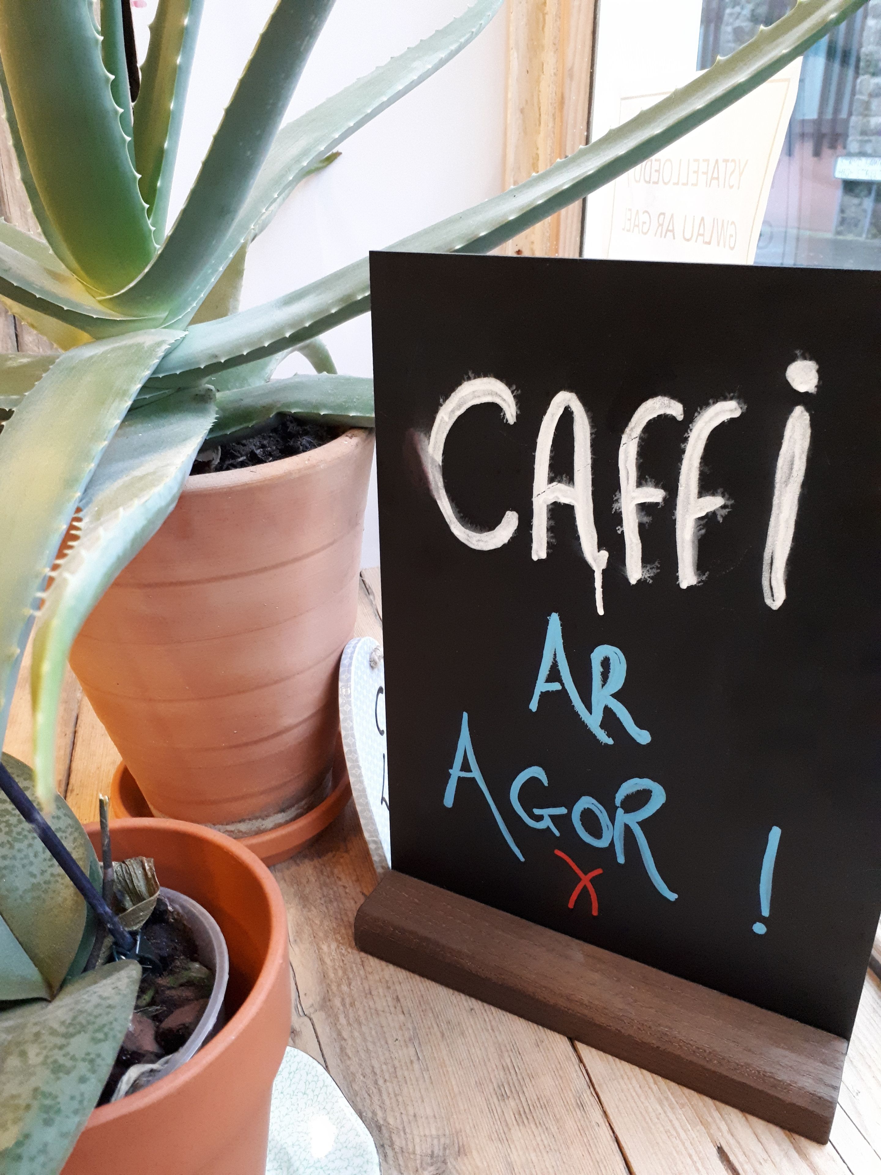 A blackboard with the text "CAFFI AR AGOR!" in white and blue letters, placed on a wooden stand next to potted plants.