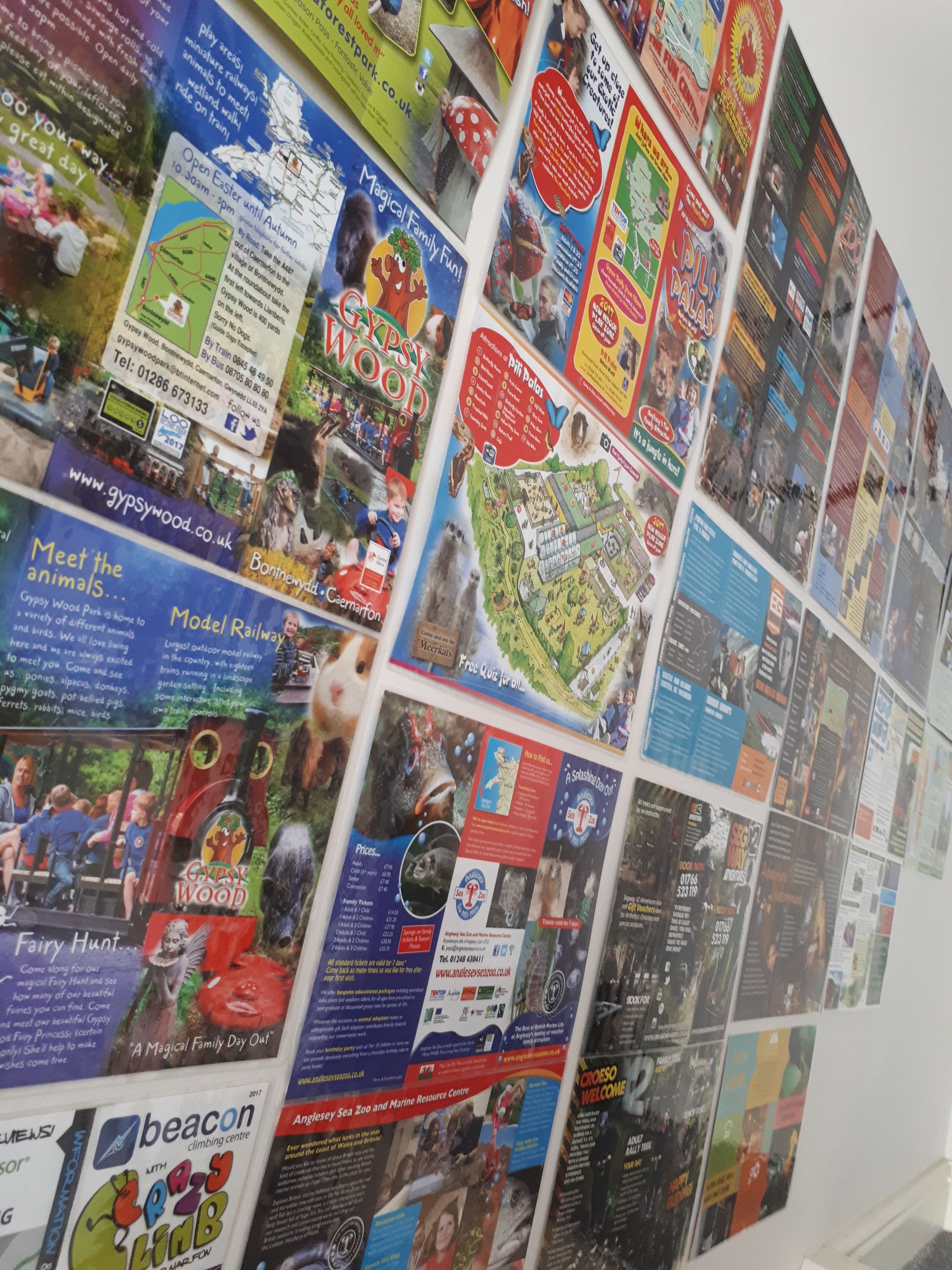 Una pared llena de folletos y volantes coloridos que promocionan atracciones y eventos locales.