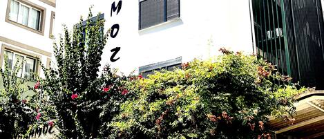 Fachada de la propiedad