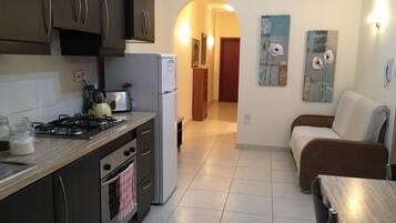 Classic Double Room, 1 Bedroom | Shared kitchen | Full-size fridge, oven, stovetop, dishwasher