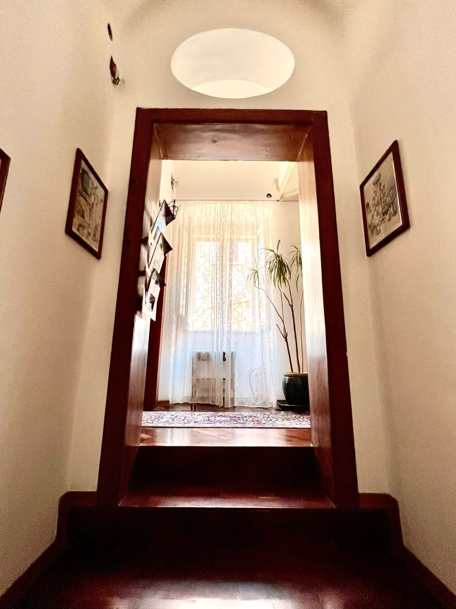 A staircase leading to a room with a large window, a potted plant, and framed pictures on the walls.