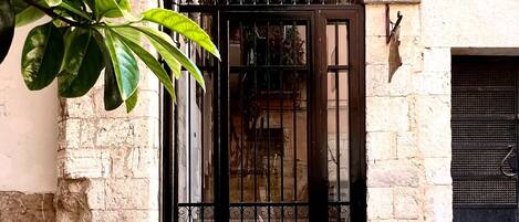 A stone building with a black metal gate, a stone-paved courtyard, and a plant in the foreground.