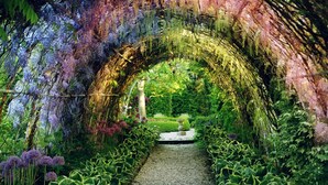 A tunnel garden with a gravel path, lush greenery, and a stone bench. - Max Health Resort SPA (Ustronie Morskie)