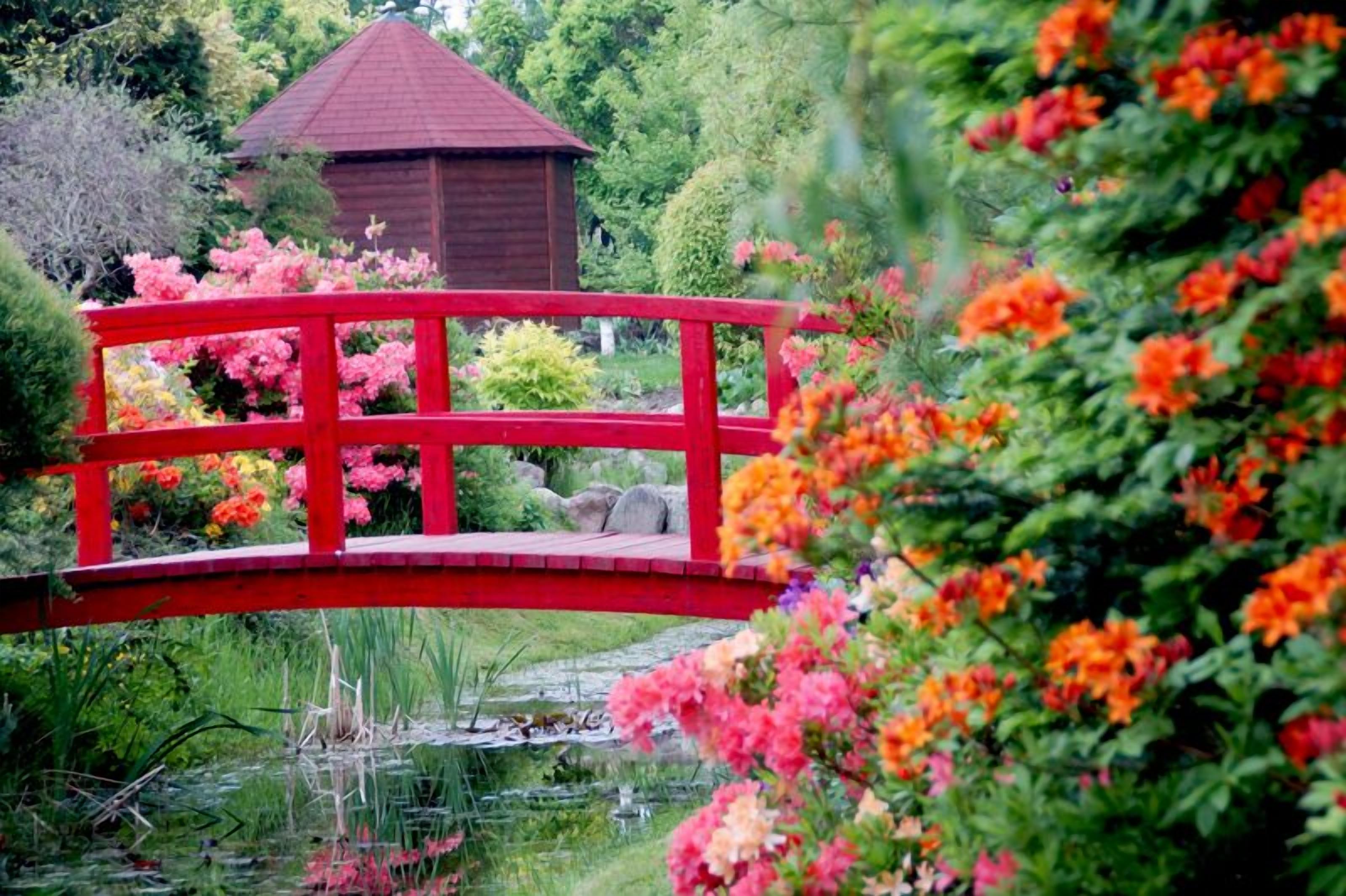 A red wooden bridge over a pond with pink and orange flowers in the foreground.