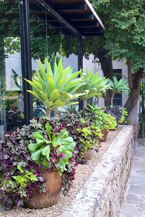 Fitness facility - Casa Cien (San Miguel de Allende)