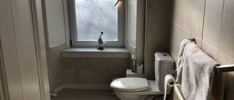 A small bathroom with a toilet, a window, and a towel rack.