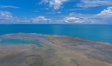 ํด๋ณ/๋ฐ๋ค ์ ๋ง