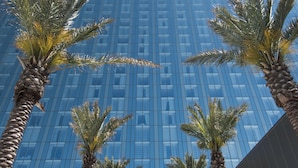 Un grand bâtiment moderne en verre, avec un logo bien visible sur le dessus. Des palmiers bordent la façade, et le ciel est dégagé.