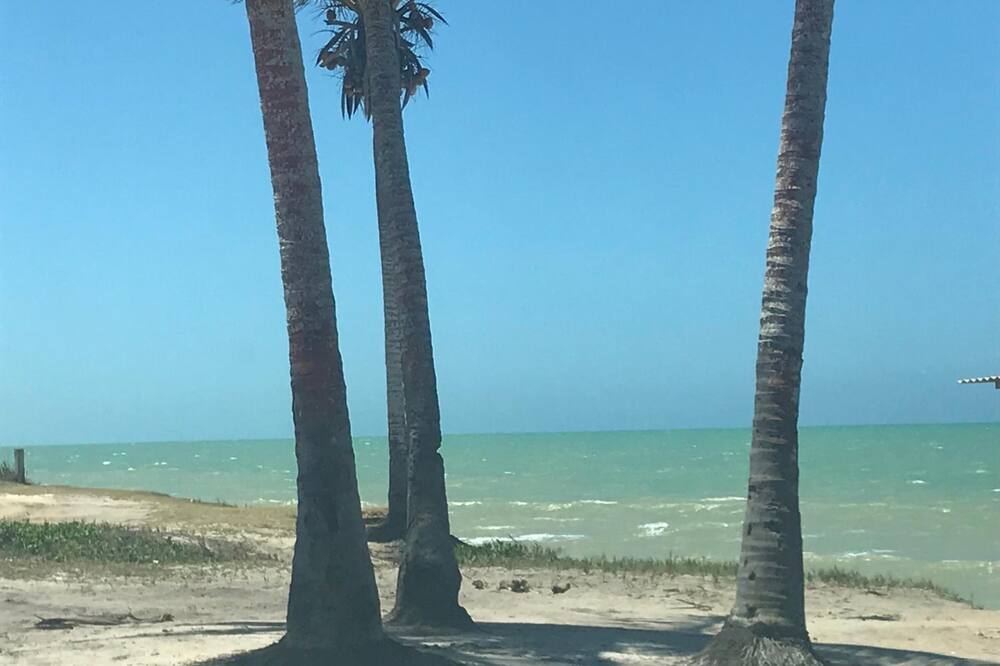 Hotel Amendoeiras Praia