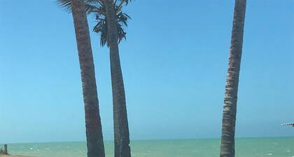 Hotel Amendoeiras Praia