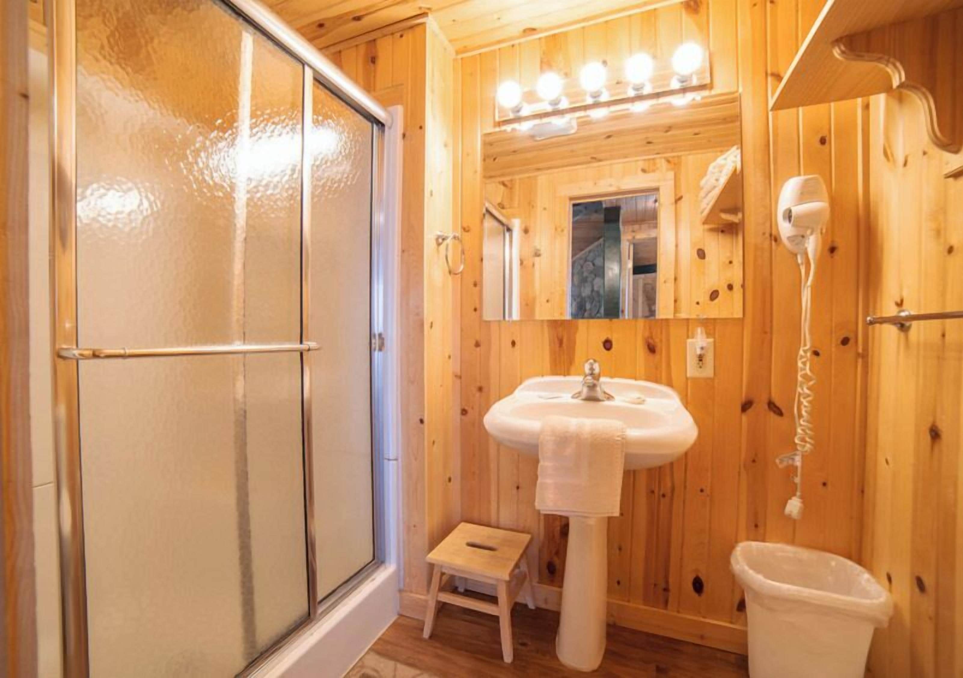 A wooden bathroom with a glass shower door, a sink, a step stool, and a hairdryer.