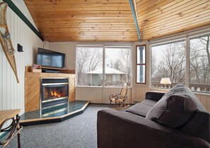 Villa #8- Timber Wolf | Living area | TV, fireplace, DVD player - Mountain Villas (Duluth)