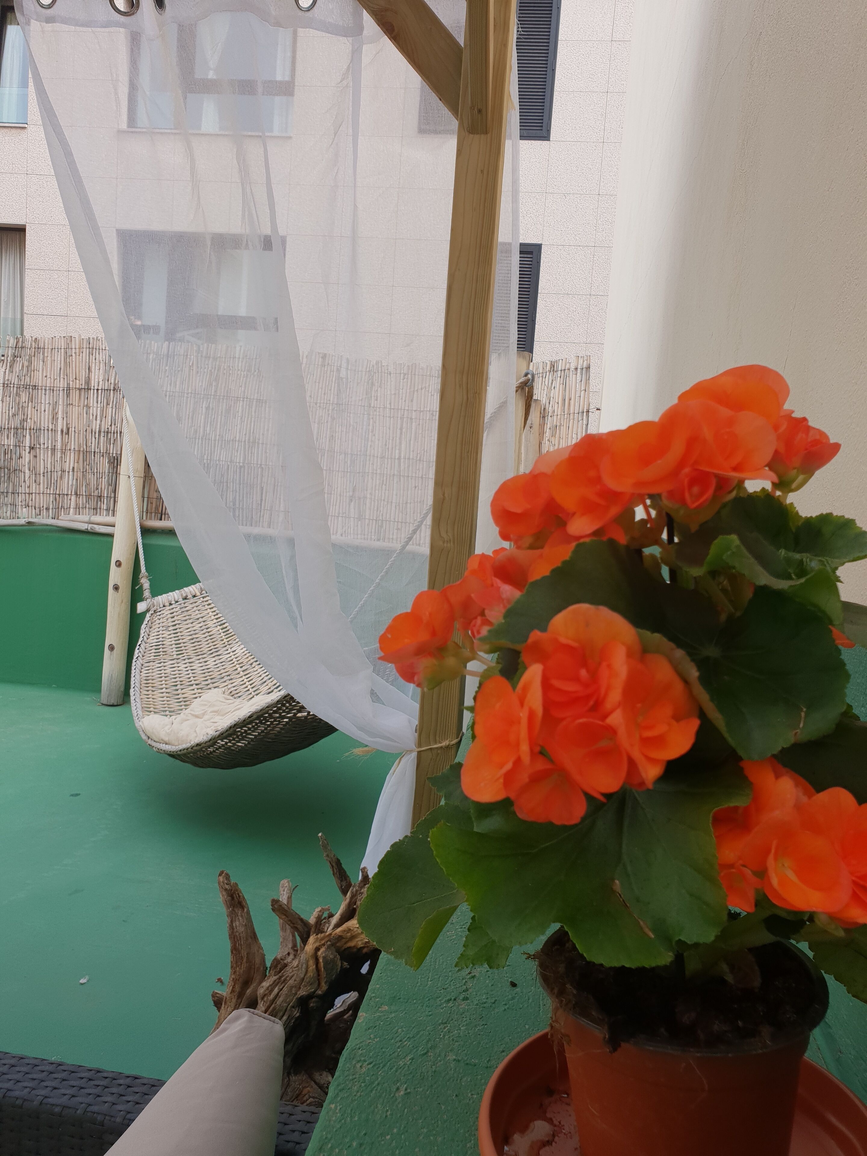 Una planta en maceta con flores anaranjadas, una silla colgante y un piso verde.