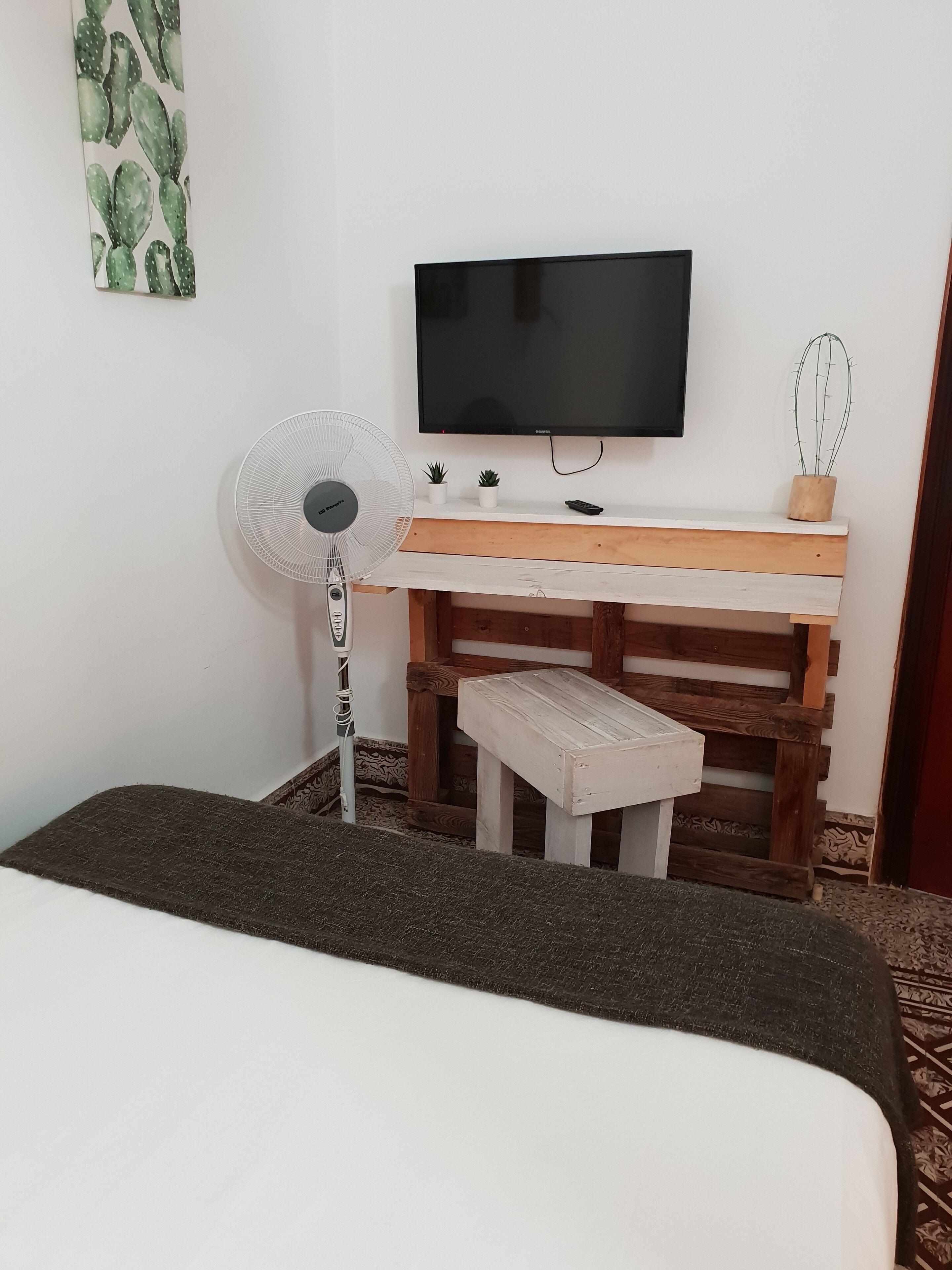 Una habitación con cama, escritorio, televisor, ventilador y un cactus sobre el escritorio.