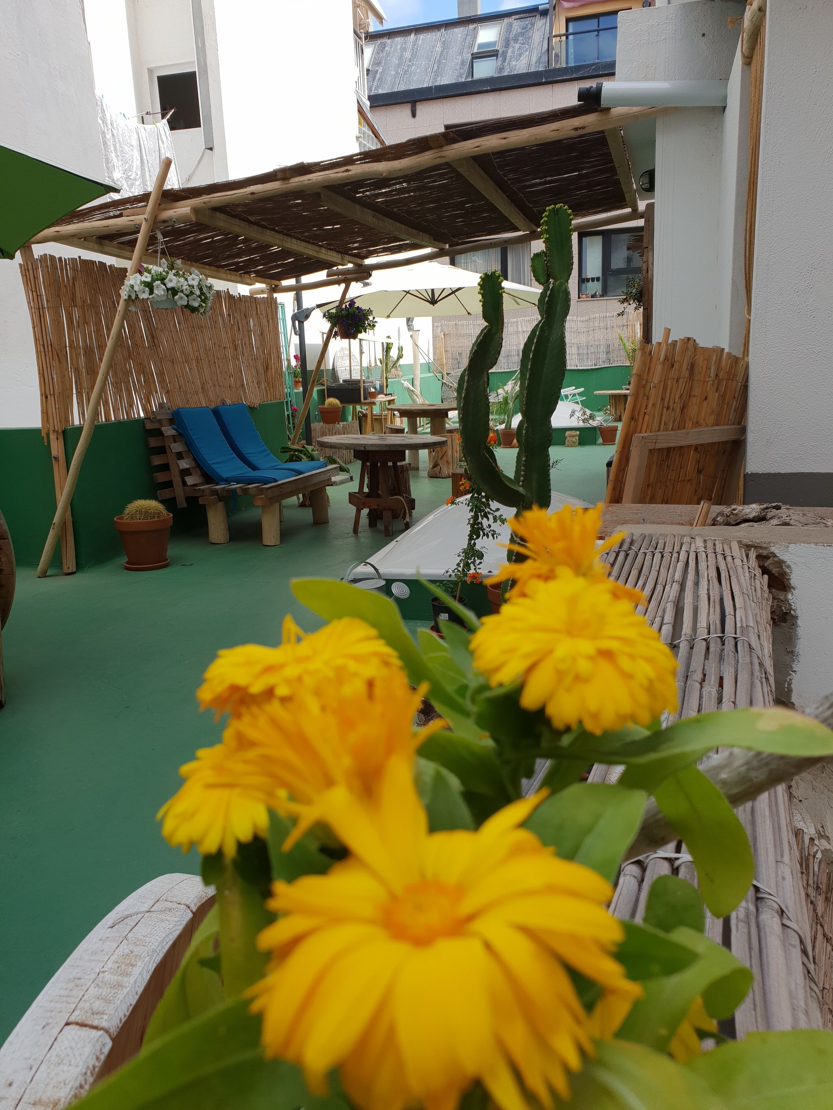 Un patio con una mesa de madera, un banco acolchado azul y un arreglo floral colgante.