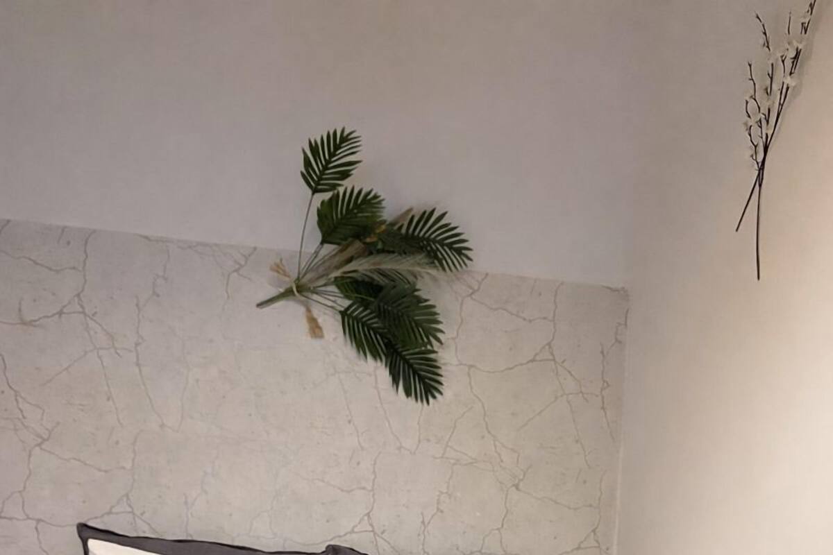 Een net opgemaakt bed met wit en donkergrijs beddengoed, een opgerolde handdoek en een decoratieve plant aan de muur.