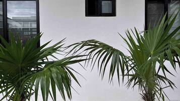 Vue depuis lâhĂ©bergement