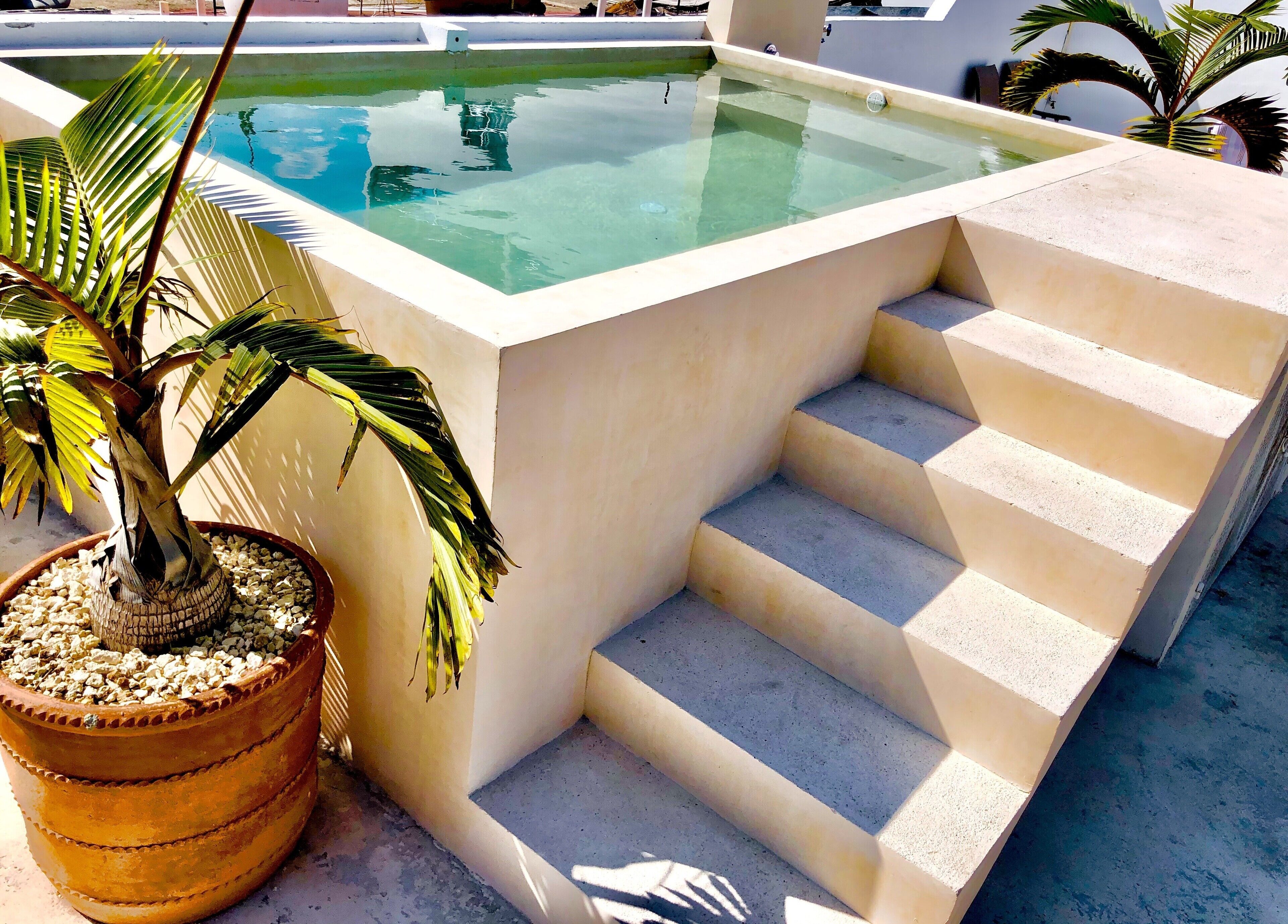 室外游泳池，提供日光浴躺椅