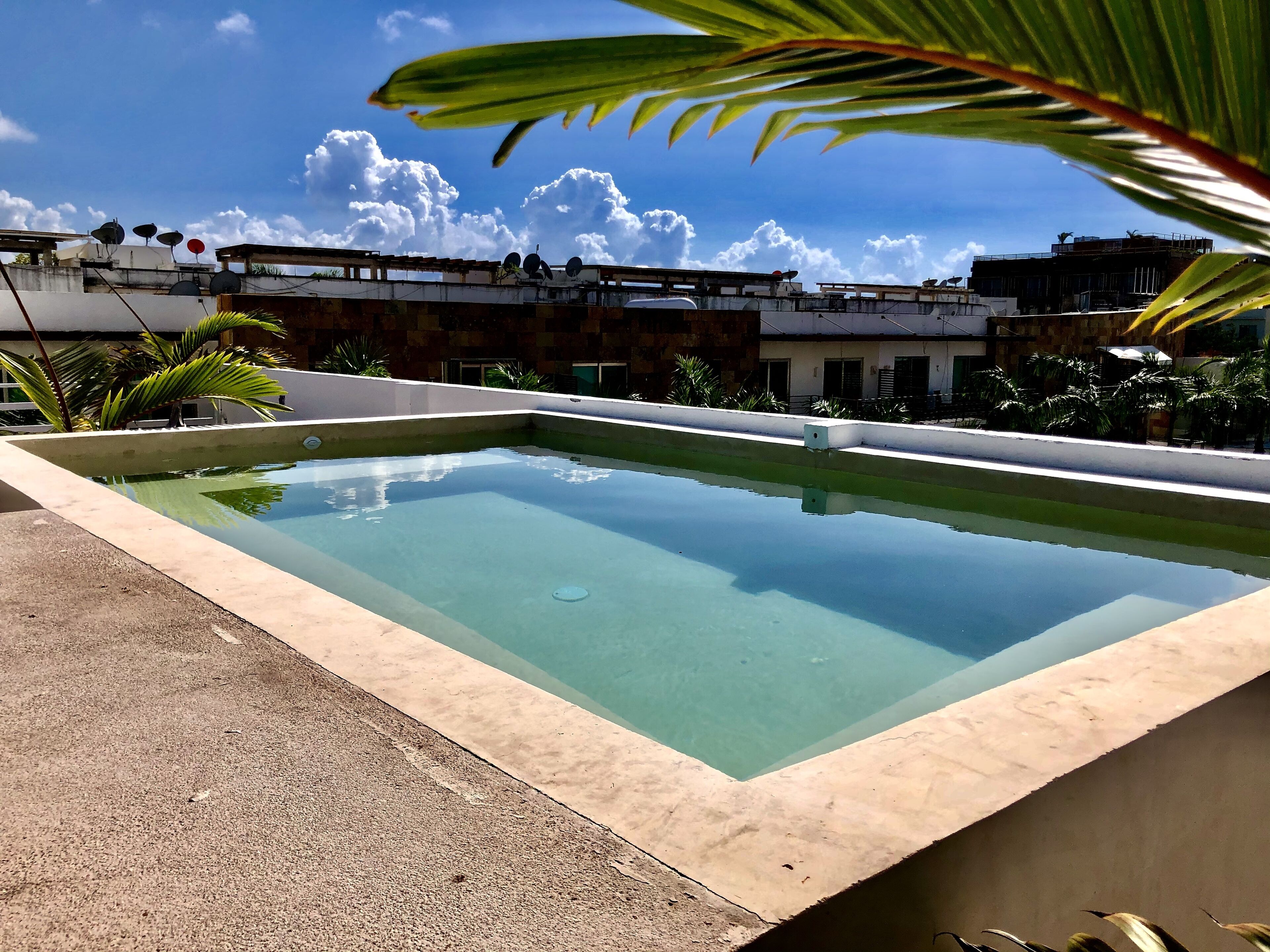 Piscine extérieure, chaises longues