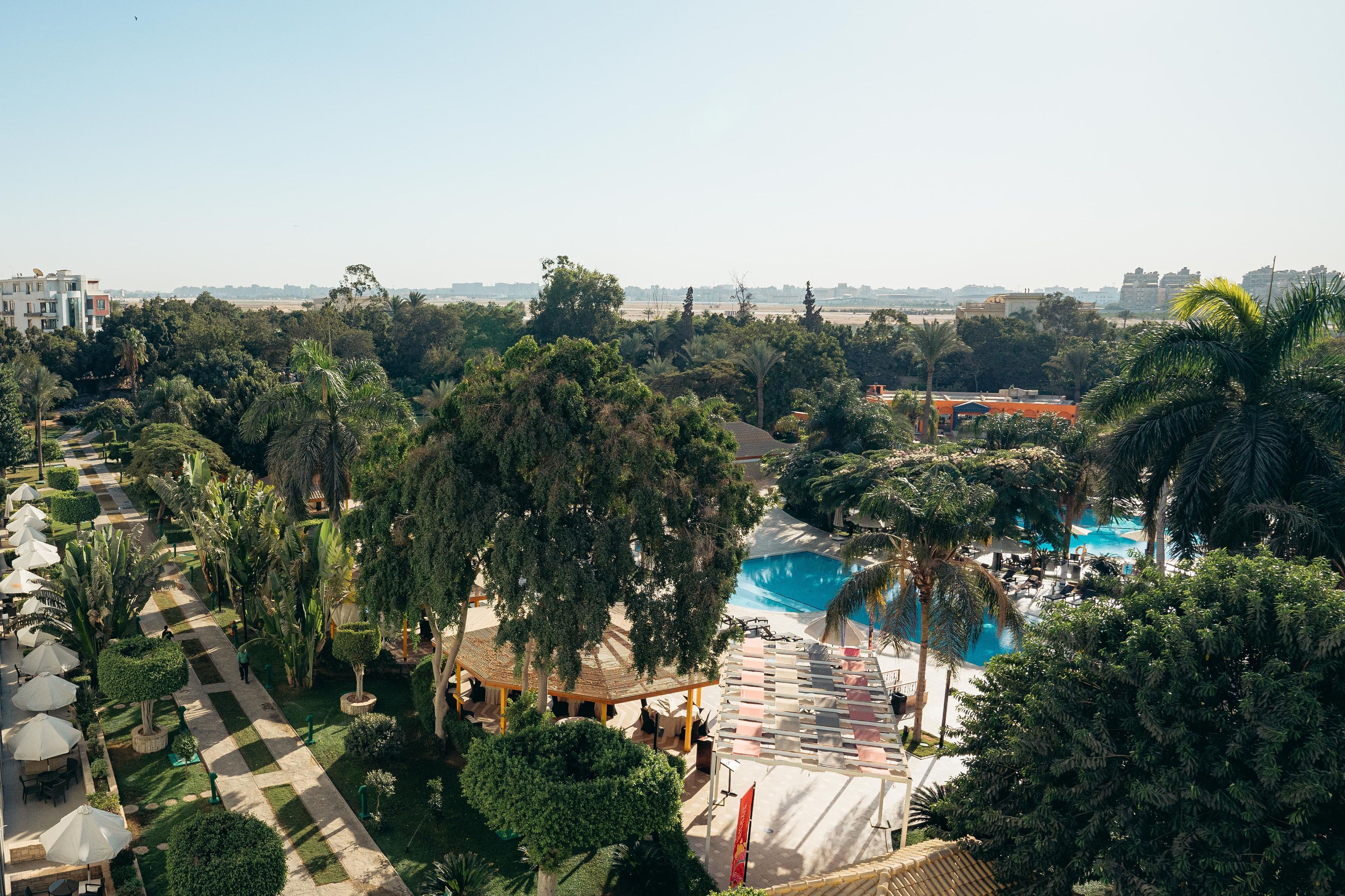 A resort with a swimming pool, palm trees, and a covered seating area.