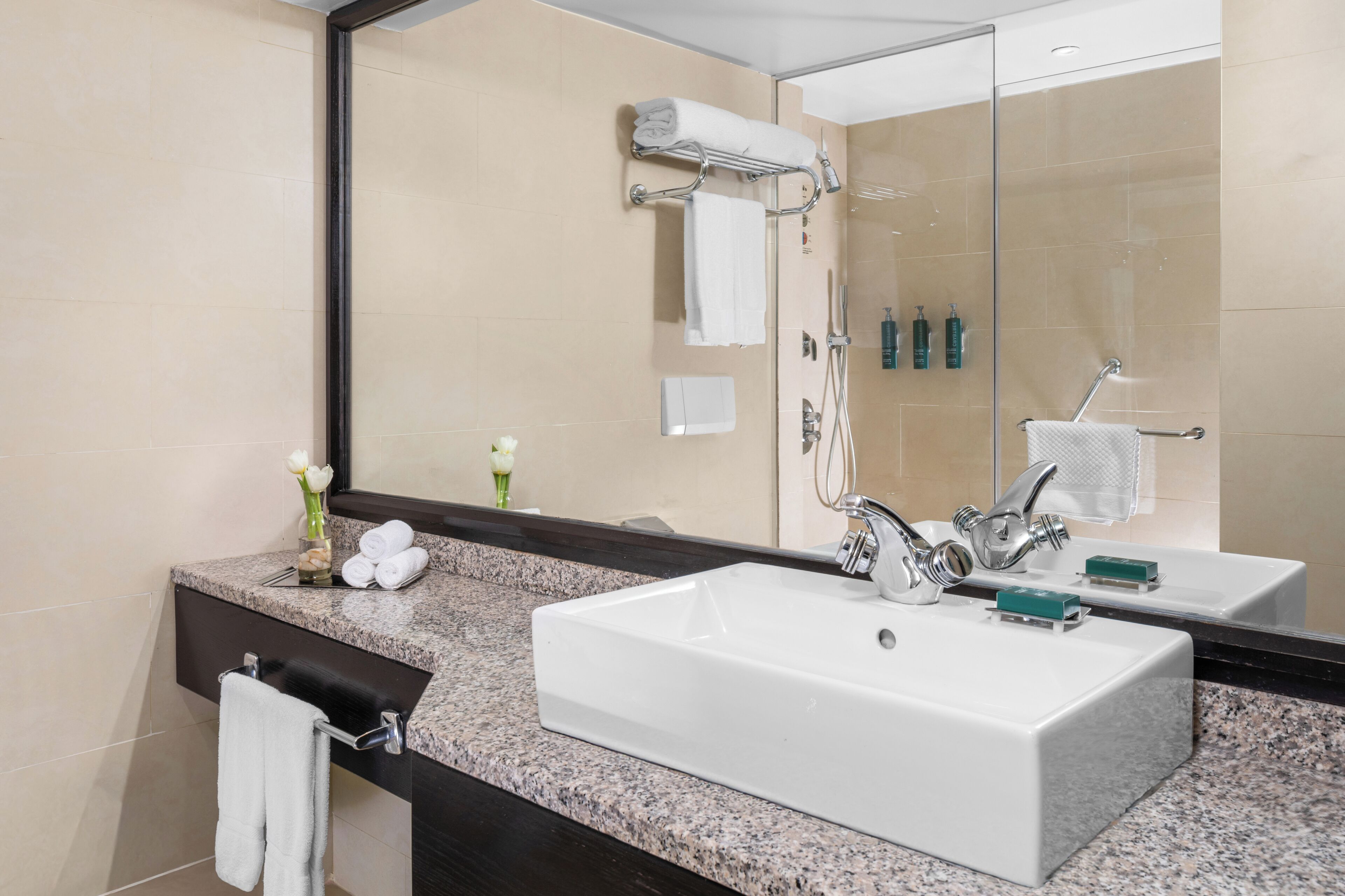 A bathroom with a large mirror, two sinks, a towel rack, and toiletries.