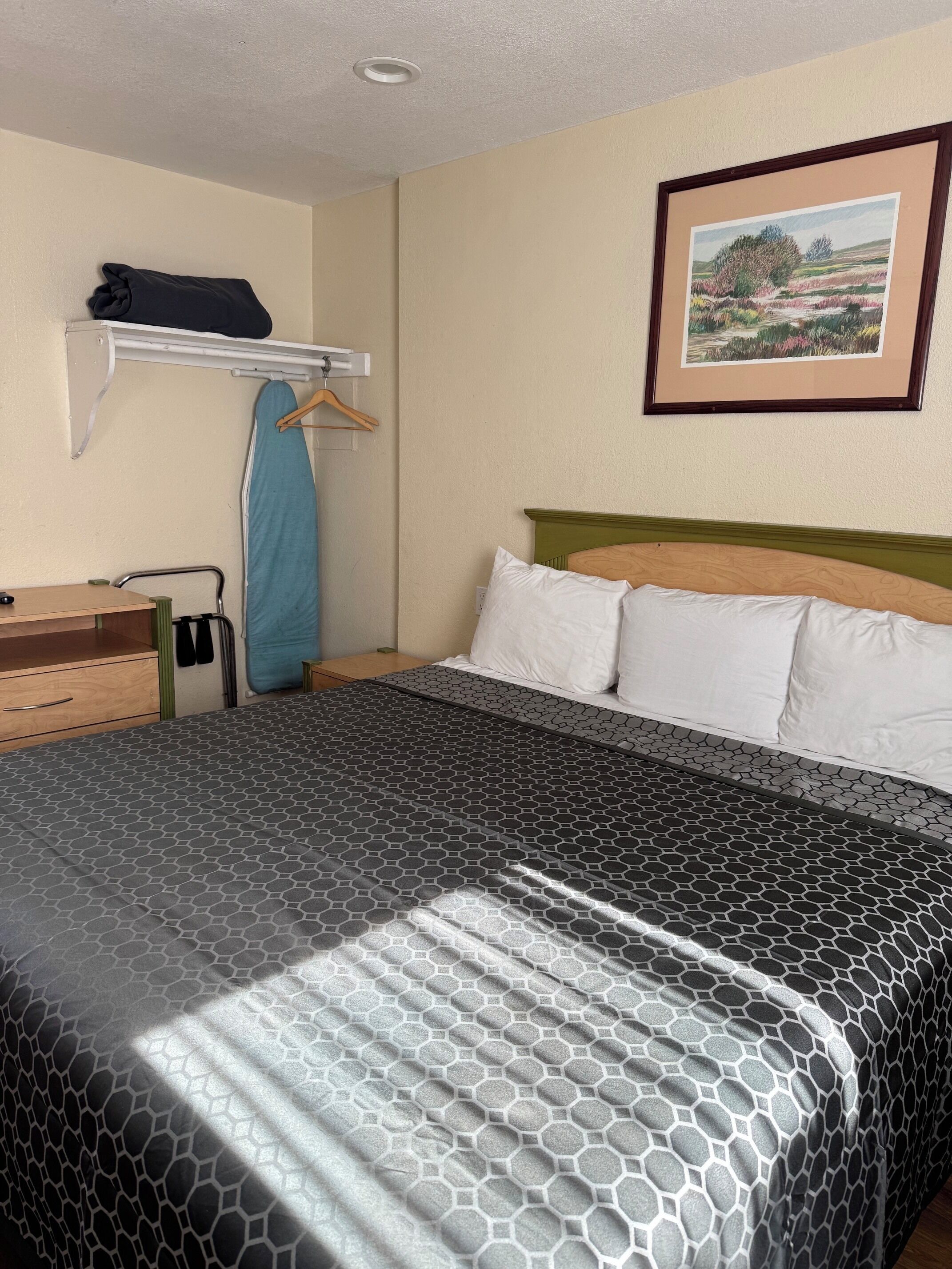 A hotel room with a bed, a bedside table, a hanging rack, and a framed landscape painting on the wall.