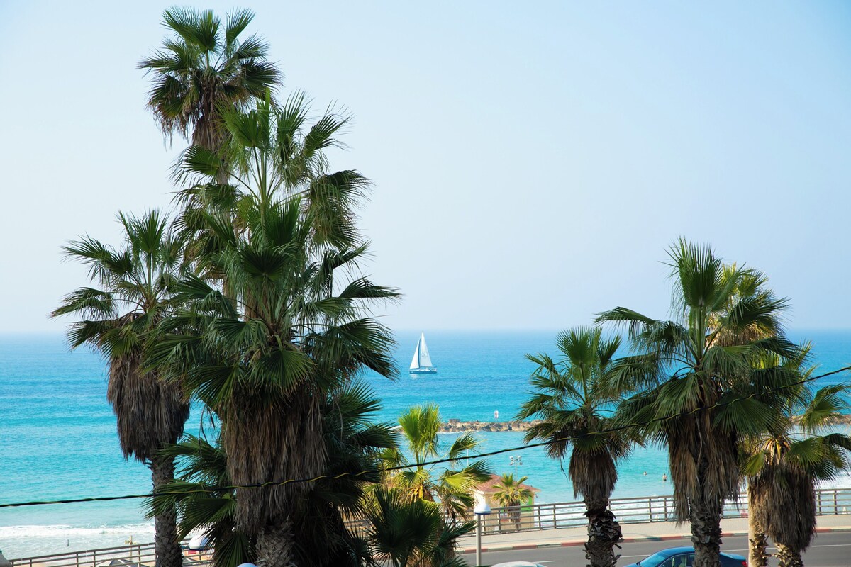 A coastal view with palm trees, a sailboat, and a beach in the background.