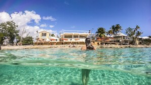A clear view of a beach resort with a large building, palm trees, and a sandy shore. - The Fred - Adults Only (Frederiksted)