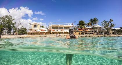 The Fred - Adults Only