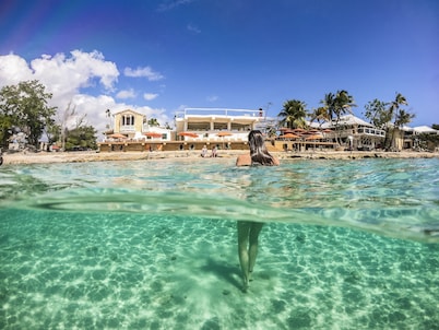 The Fred - Adults Only